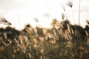 RYT200のブラックフライデーセールで得られるお得な情報は？