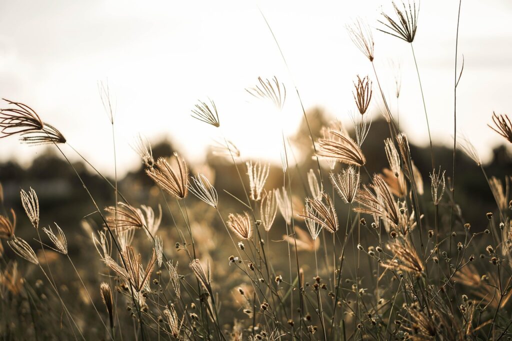 RYT200のブラックフライデーセールはいつ開催されるのか？