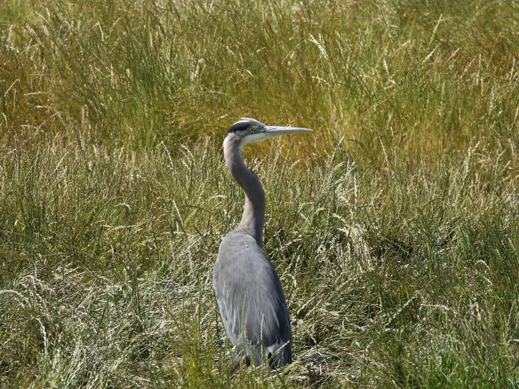 RYT200の課題提出例にはどんなものがある？