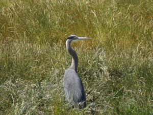 RYT200の課題提出例にはどんなものがある？