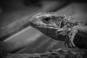 ヨガリトリート企画に必要な資格とは？