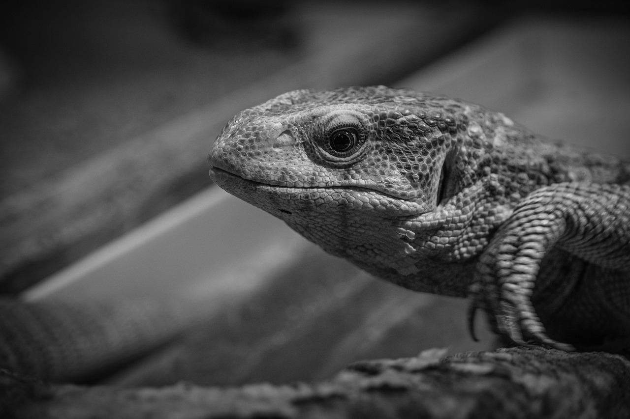 ヨガリトリート企画に必要な資格とは？