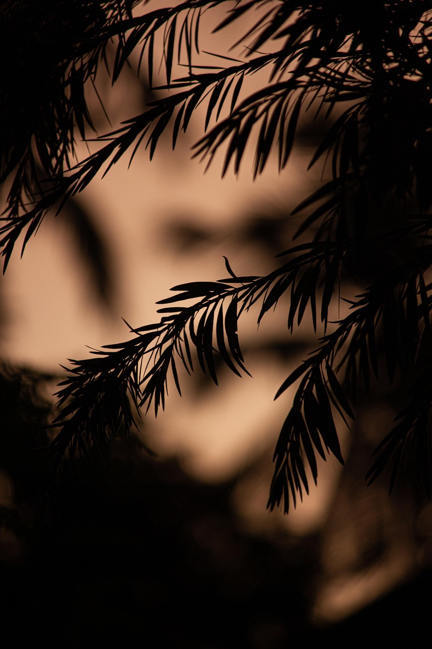 RYT200集中講座の比較で自分に合ったプログラムはどれ？