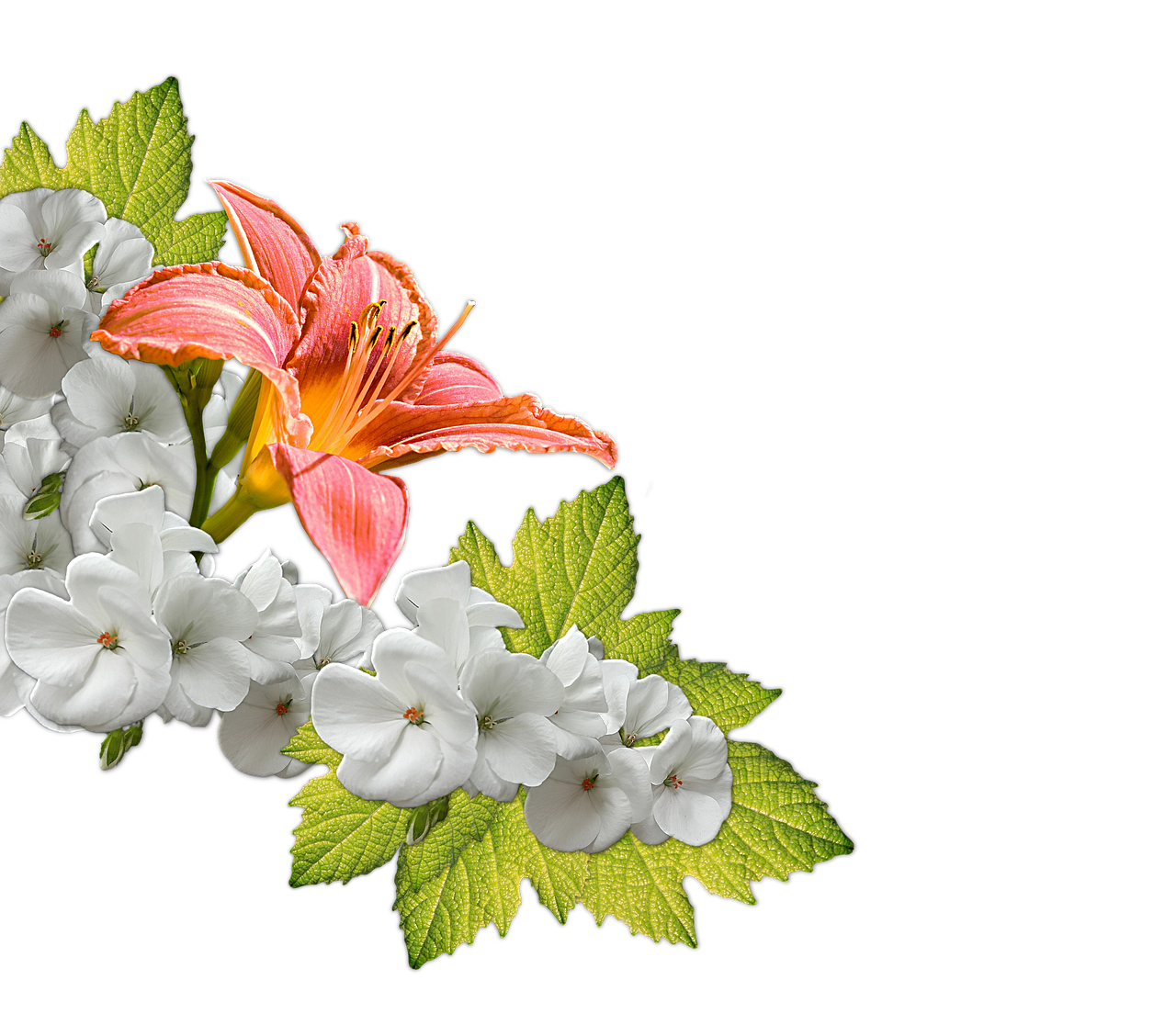 RYT200の比較でどのプログラムが最適か知りたい？