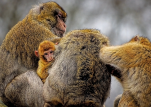 RYT200を独学で取得することは可能ですか？