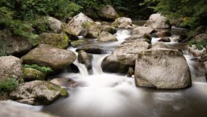 経験豊富なインストラクターが教える効果的なトレーニング方法は？