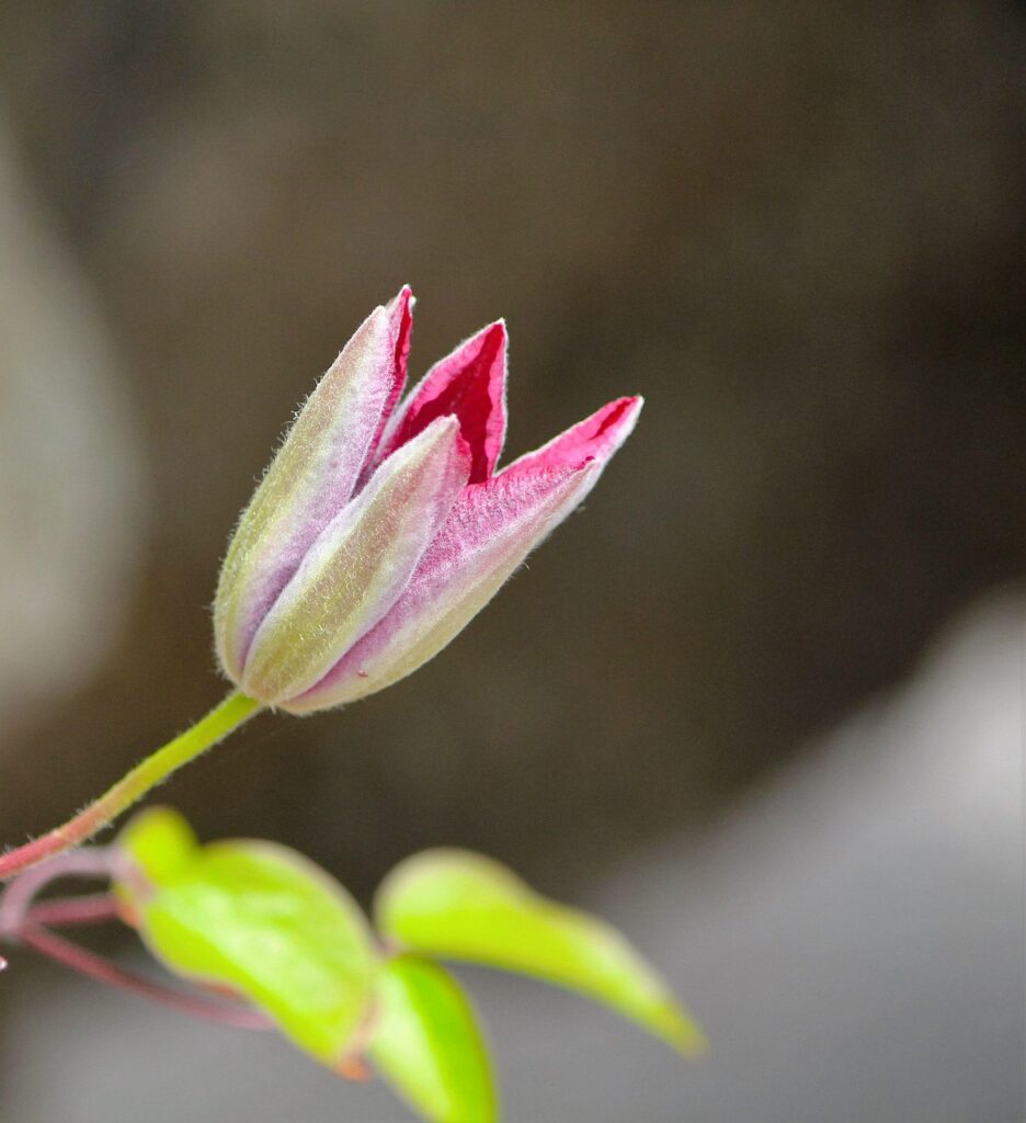 RYT200のカリキュラムは初心者にどのように役立つのか？