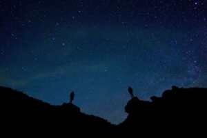 RYT200の夜間学習で効果的に資格取得する方法は？